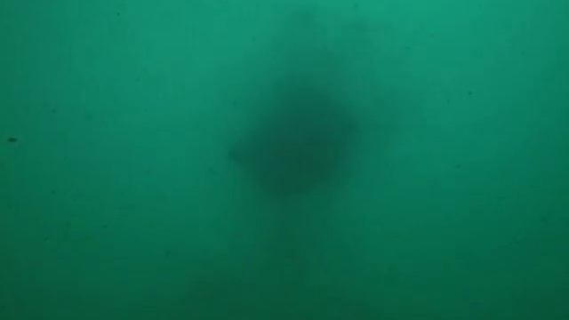 Дночерпатель Ван Вина в работе смотреть онлайн