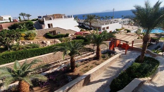 Отель Safir Sharm Waterfalls Resort 5*. Шарм-эль-Шейх. Египет. Обзор отеля, 1 часть. смотреть онлайн