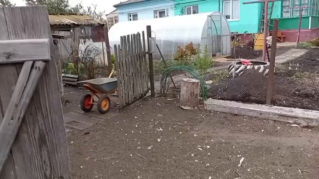 Деревня и жизнь в ней .Хроника дня.