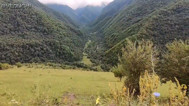 Красивое и живописное ущелье реки Хачарой-Ахк в горах Чечни у селения Ведучи (чеч. Хьачар). смотреть онлайн