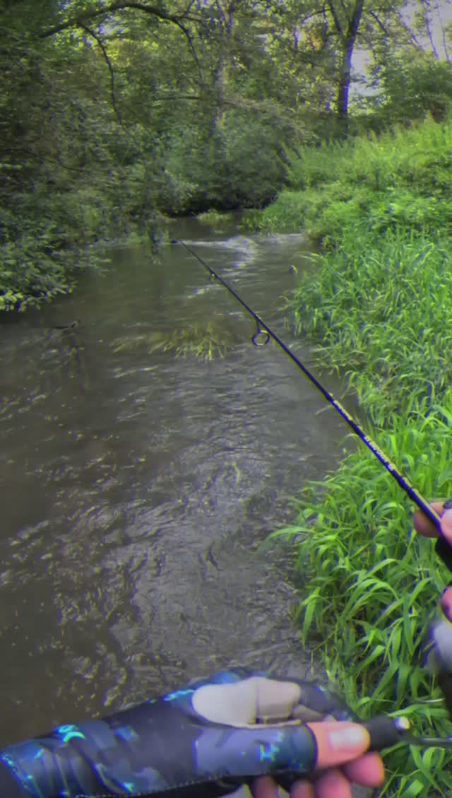 ЭТОТ РУЧЕЙ порадовал ПОКЛЁВКАМИ 🎣 смотреть онлайн