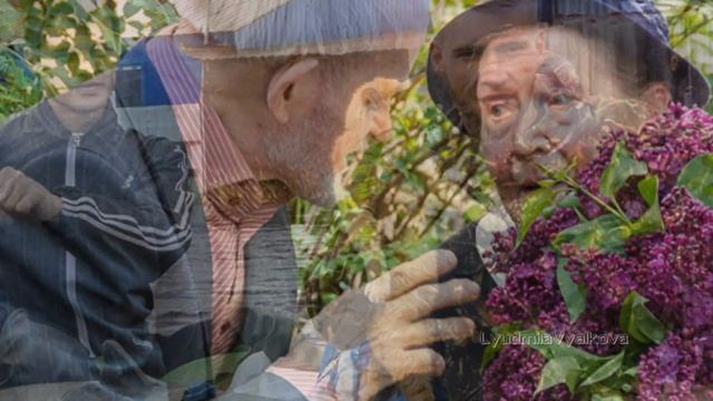 Мне нравятся красивые сердца. Душевная песня, песня-переделка. смотреть онлайн