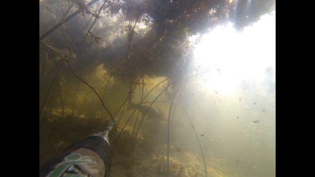 ПОДВОДНАЯ охота в дельте смотреть онлайн