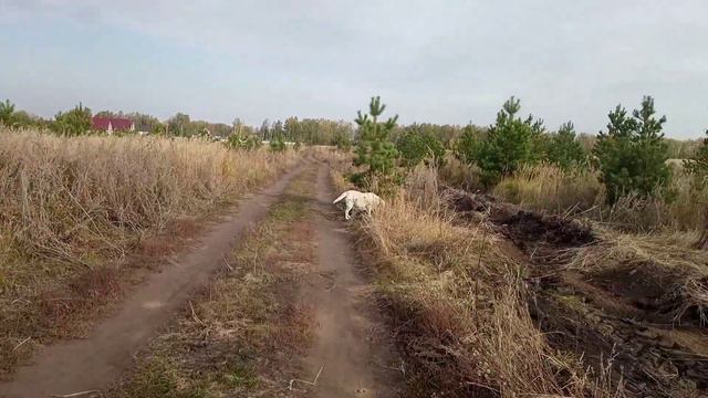 #Ченнелинг .Что происходит на планете. Что делать дальше. смотреть онлайн