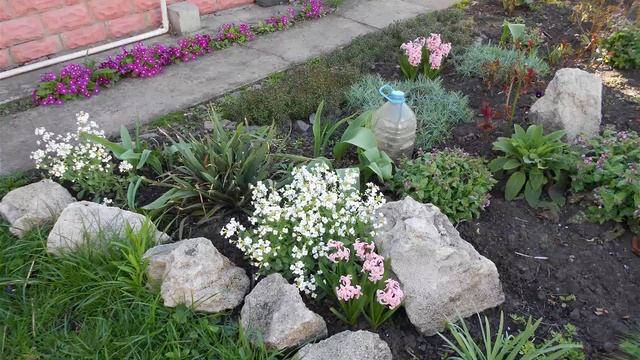 Весна у  меня на даче