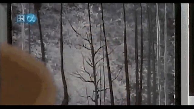 11:11 GOOD GUYS WIN 777 The LIONS GATE 88 & Stay Cool