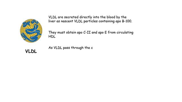 Lipoprotein metabolism and transport _ Chylomicron, VLDL,IDL, LDL,HDL _ Metaboli.mp4 смотреть онлайн