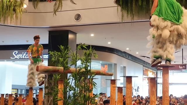 Quayside Mall Acrobatic Lion Dance Championship 2022 - Fall And Rise Again