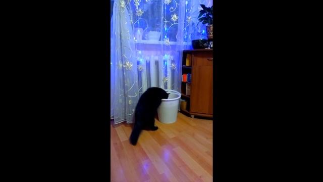 Как нужно пить воду после нового года) смотреть онлайн