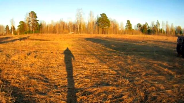озеро,карасёвое,летают утки. смотреть онлайн