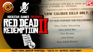 «Выставка дикой природы - №5» Запрос охотнику | Прохождение RDR 2 на Золото 🏆 Без комментариев
