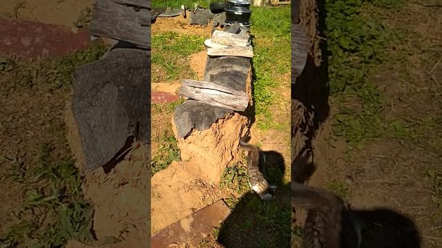 Саманная баня.Начало строительства. смотреть онлайн