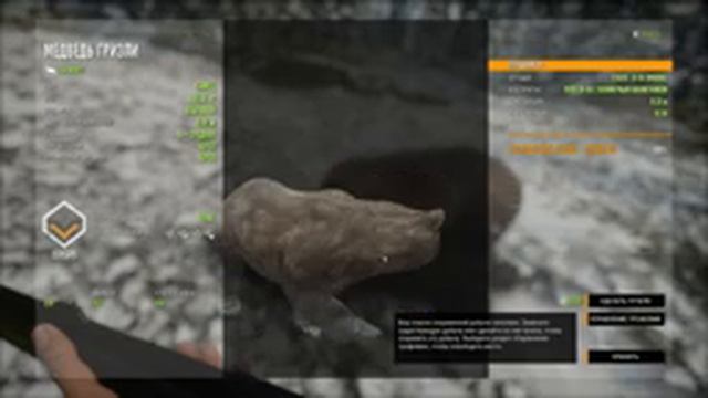 TheHunter Call of the Wild Идём на ОХОТУ в долину ЮКОНА # 63 смотреть онлайн