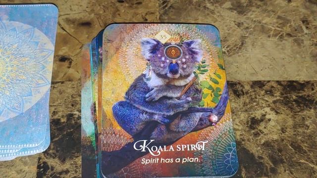 Unboxing the Spirit Animal Pocket Oracle! смотреть онлайн