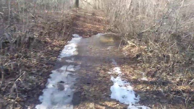 Уровень воды в реке продолжает снижаться! смотреть онлайн