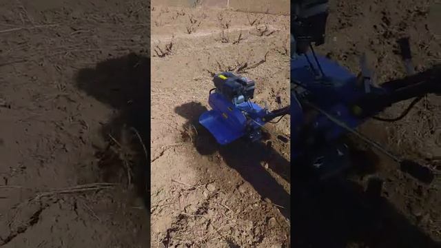 Motocultor 7cp la arat în vița de vie смотреть онлайн