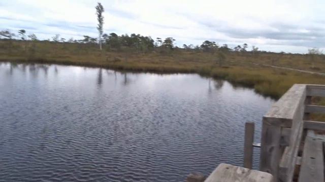 Ну вот мы и добрались до заповедных эстонских болот! Соомаа. смотреть онлайн