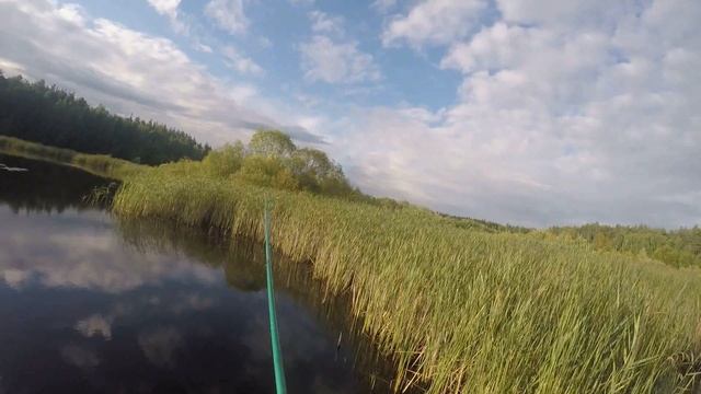 Рыбалка в Беларуси Ловля Линя на поплавочную удочку. Старое место лучше двух новых. смотреть онлайн