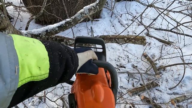 Вырезаем кусты.Сколько дров можно нарезать одним бачком Husqvarna 450. смотреть онлайн