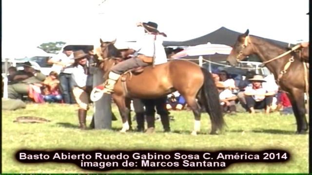 Rueda en Bastos Abiertos / Ruedo Gabino Sosa Colonia América año 2014 смотреть онлайн