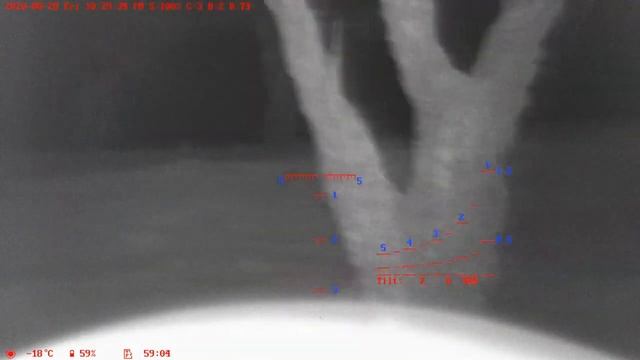 Wanney E50-II Plus/E53 Digital Day / Night Vision Scope 22LR Farm Rabbit Search & Hunt Clip смотреть онлайн