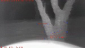 Wanney E50-II Plus/E53 Digital Day / Night Vision Scope 22LR Farm Rabbit Search & Hunt Clip