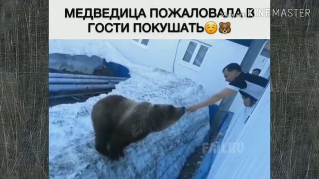 Ржал очень долго)))Приколы в России 🤣 смотреть онлайн