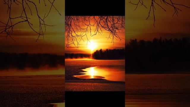 ??Великолепная игра скрипки трогает душу и сердце? смотреть онлайн