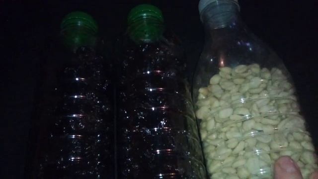 Хранение чернослива в домашних условиях. смотреть онлайн