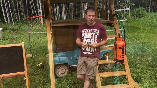 Как избавиться от комаров муравьёв мышей и ос. Паразиты на даче. Осиное гнездо как убрать.