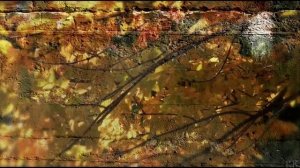 Черный кофе Листья - С ветки падающий лист  (миньон 1987) (Переступи порог -переиздание  1996).