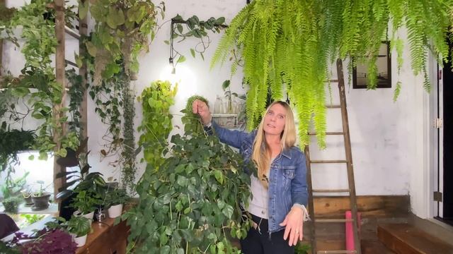 Fast-Growing Indoor Plants! | 28 Different Species смотреть онлайн