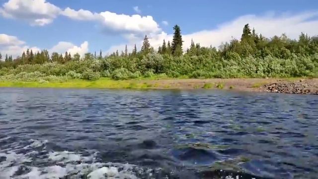 КОЛЕСНИКОВЫ//ТОРМОЗ УПАХИВАЕТСЯ С МОРКОВКОЙ, ЗАДНИЦА ДЕРЖИТ ИНТРИГУ// смотреть онлайн