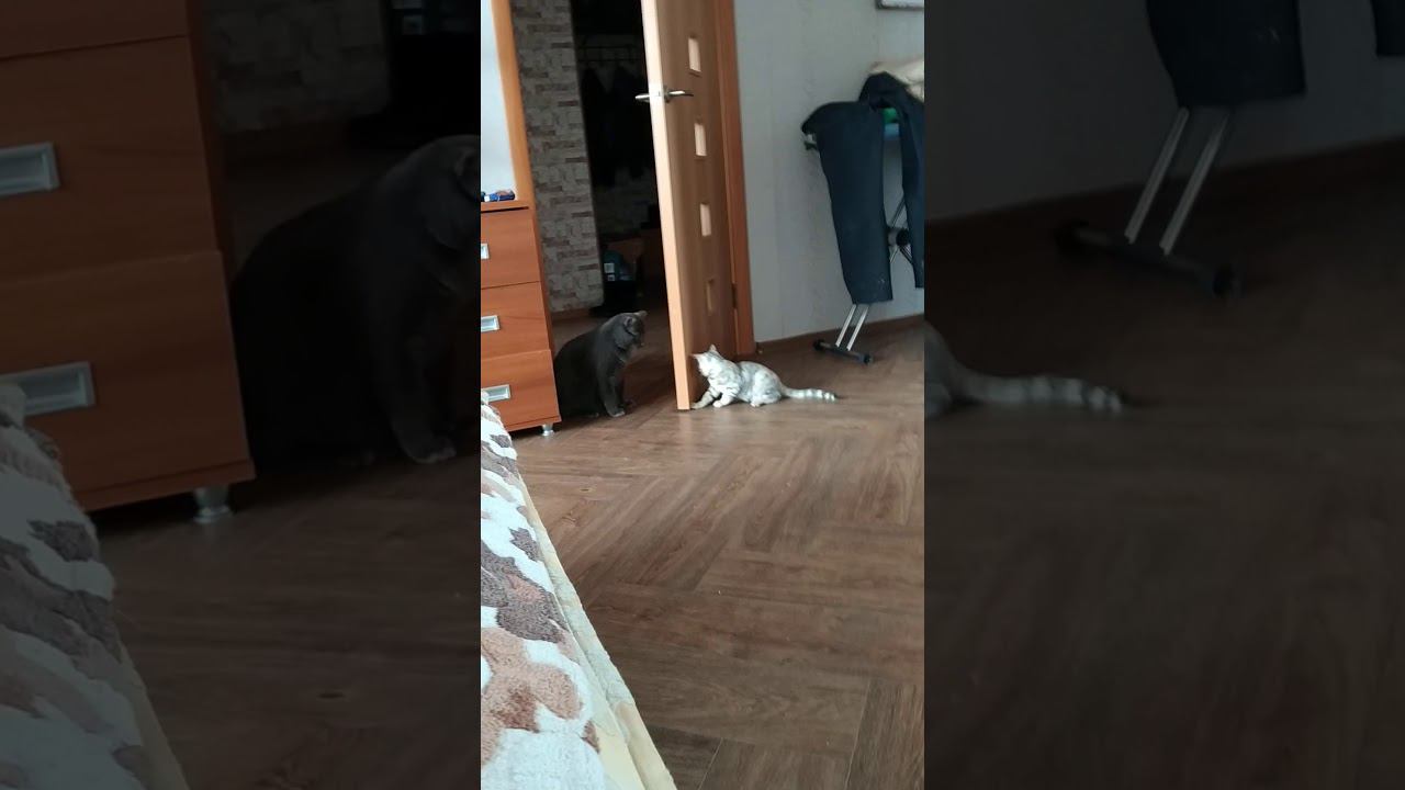 22 января 2020 г. смотреть онлайн