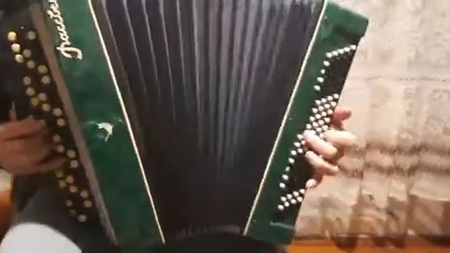 Accordion Bayan. Green Rasvet смотреть онлайн