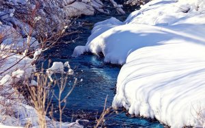 Весенние проталины