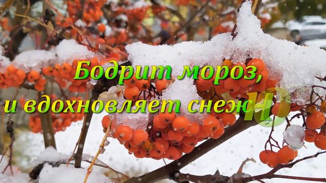 Какое это наслажденье...❤️Первые снежинки в октябре ❤️Теплой и снежной зимы желаю!❤️ смотреть онлайн