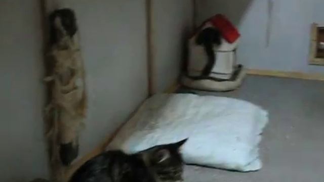 Приют Кожухово смотреть онлайн