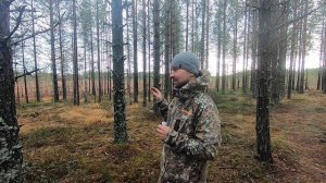 Я в ШОКЕ от манка на белолобого гуся от Ивана Золотарёва.