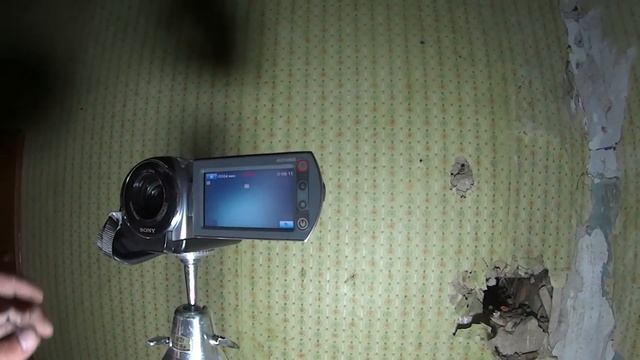 ОБЩЕНИЕ С ДОМОВЫМ смотреть онлайн