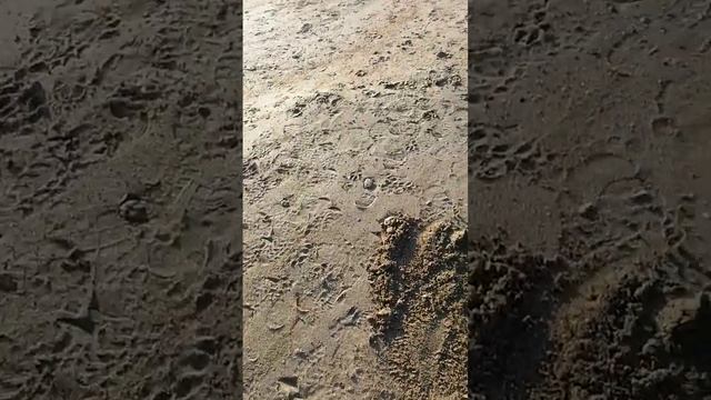 Фортуна М3 смотреть онлайн