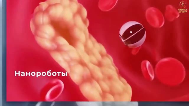 Какой будет моя жизнь в Созидательном Обществе? смотреть онлайн