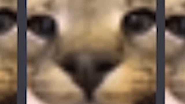 Unplugging Your Phone during an Update... смотреть онлайн
