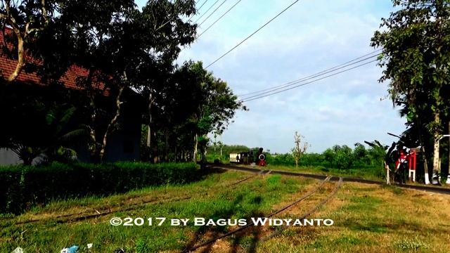 2017 Java Steam & Sugar Tour: Semboro Steam Train Trip смотреть онлайн