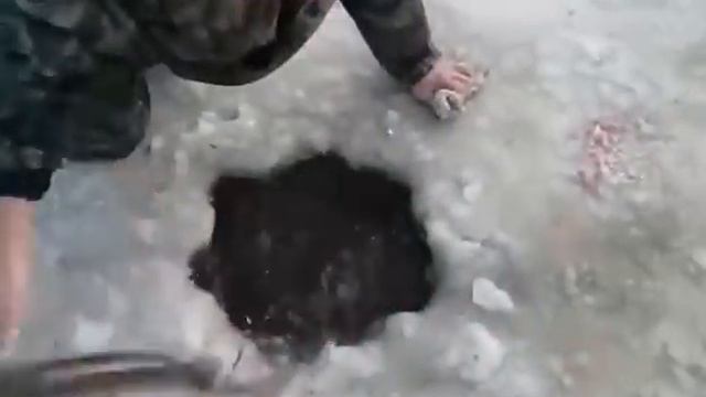Ловля щуки руками зимой из проруби смотреть онлайн
