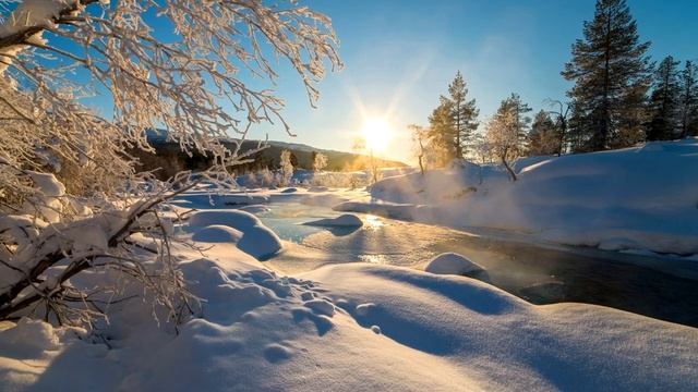 ЗИМНИЙ ЛЕС | Музыка фортепиано смотреть онлайн