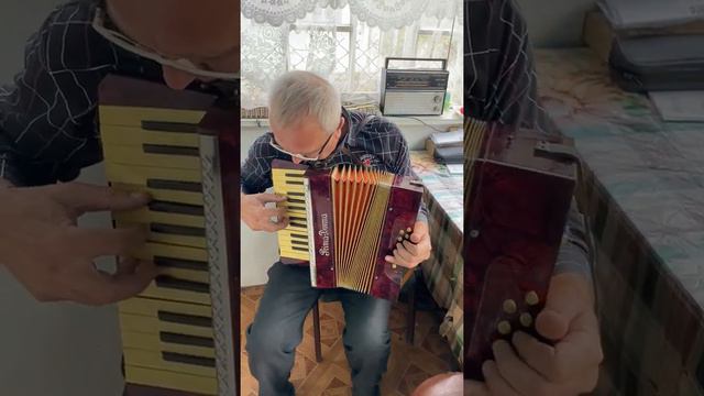 Piano accordion for beginner, Prima Donna accordion, 1/2 Germany accordion, 12 Bass, 25 key, 2 voic смотреть онлайн