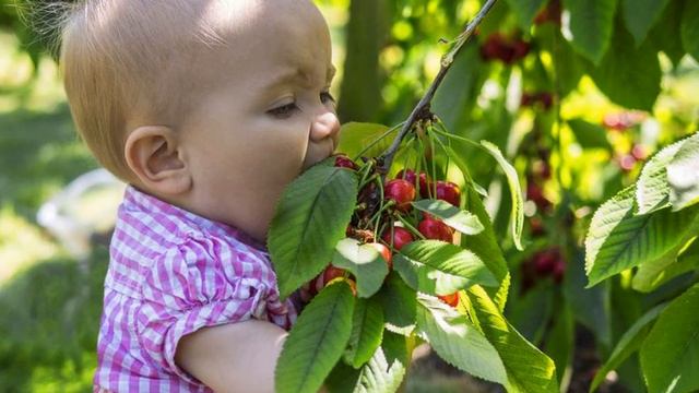 Консультация для родителей "Безопасное детство" смотреть онлайн