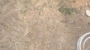 курятник на 5 кур, своими руками