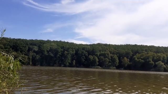 Вся вселенная во Мне. Ошибочное мнение. Миротворец80 26.07.20 смотреть онлайн